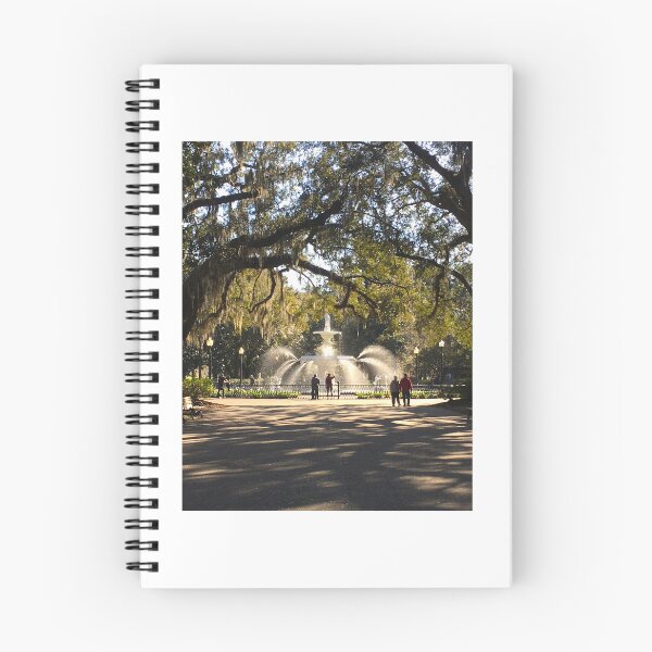 Item preview, Forsyth Park Fountain designed and sold by Topmel.