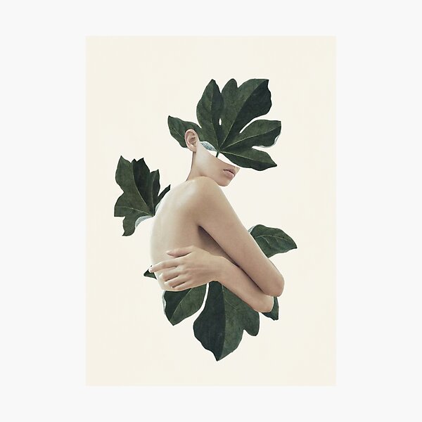 natural beauty-collage Photographic Print