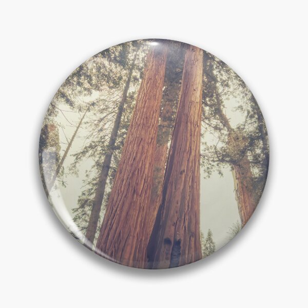 Item preview, Sequoia Trees designed and sold by jvnimages.