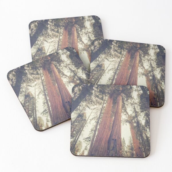 Item preview, Sequoia Trees designed and sold by jvnimages.