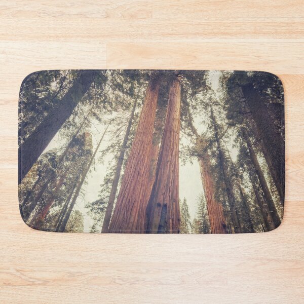 Item preview, Sequoia Trees designed and sold by jvnimages.