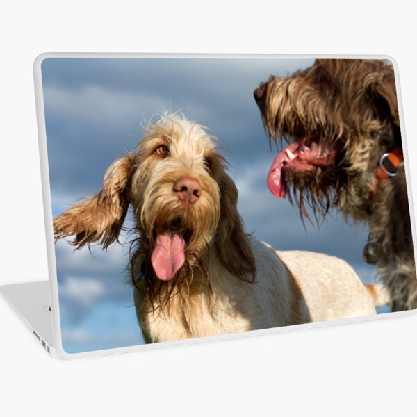The look of love Spinoni Laptop Skin