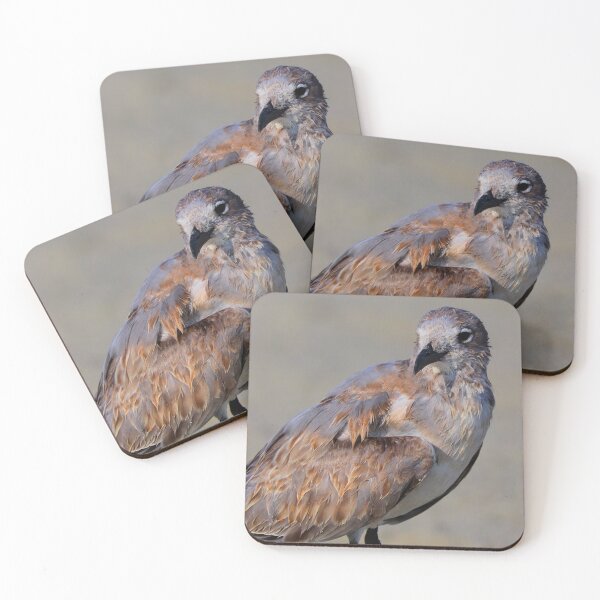 Item preview, Seagulls  designed and sold by Parks and X.