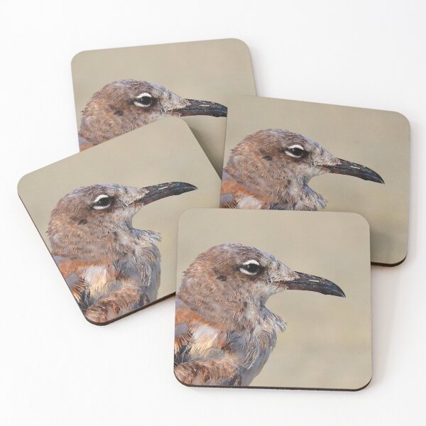 Item preview, Gullls designed and sold by Parks and X.