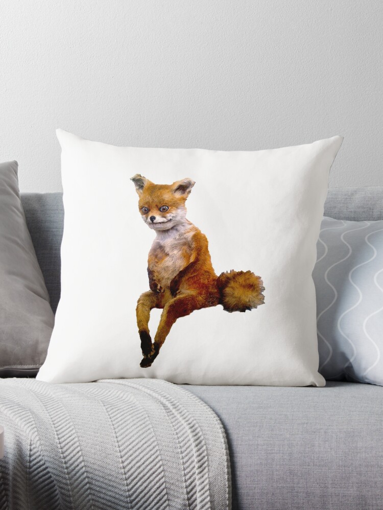 Funny Throw Pillows – The Emerald Fox Boutique