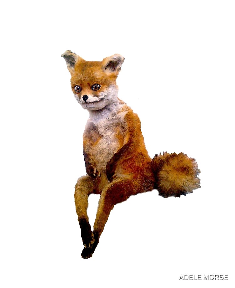 Stoned Fox The Taxidermy Fox Meme Ipad Case Skin By Adelemorse Redbubble.