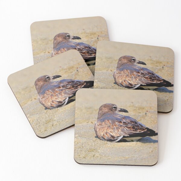 Item preview, Seagull designed and sold by Parks and X.