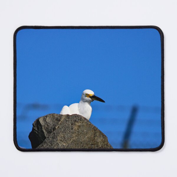 Item preview, El Porto Manhattan Beach designed and sold by supernova23.