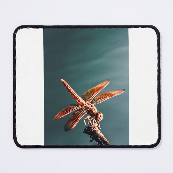 Item preview, Dragonfly  designed and sold by Manan9321.