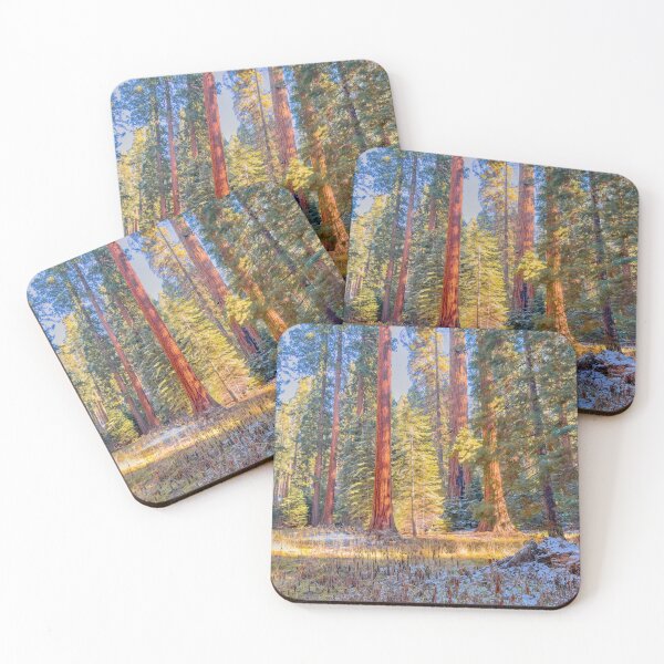 Item preview, Sequoia Forest designed and sold by jvnimages.