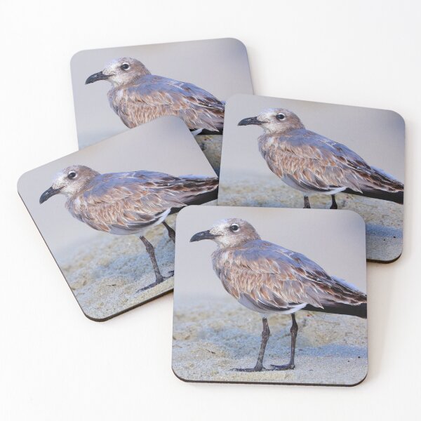 Item preview, Gulls at the beach designed and sold by Parks and X.
