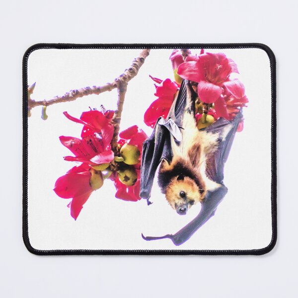 Item preview, fruit bat designed and sold by Katja LebenFreude.