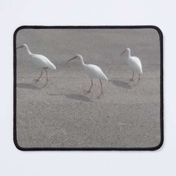 Item preview, Three pelicans by the river (Pattern) designed and sold by allstars007.
