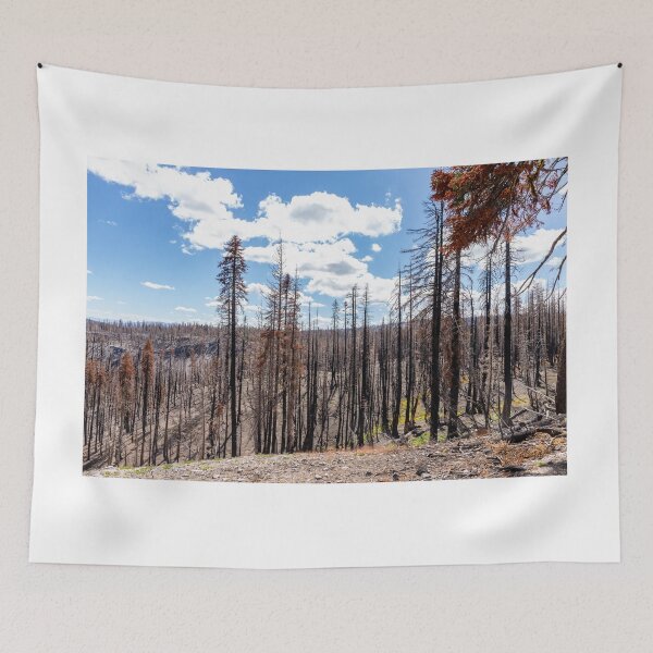 Item preview, Lassen National Park Forrest Fire designed and sold by Tootalled Photography .