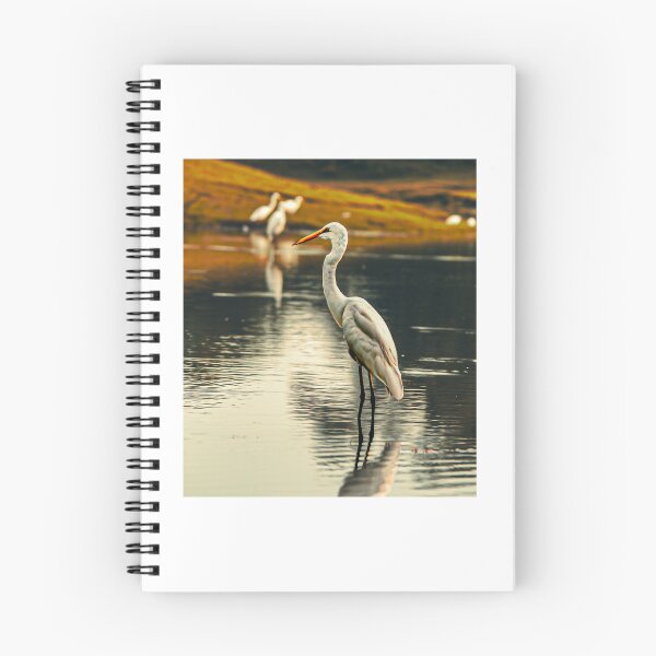 Item preview, Bird  designed and sold by Manan9321.