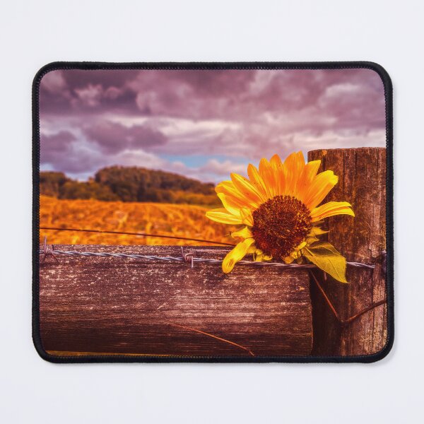 Item preview, Ragged Petals designed and sold by Jim Love.