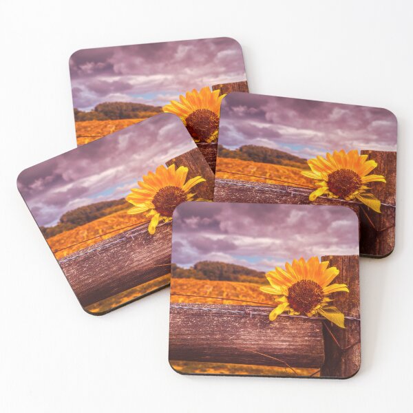 Item preview, Ragged Petals designed and sold by Jim Love.