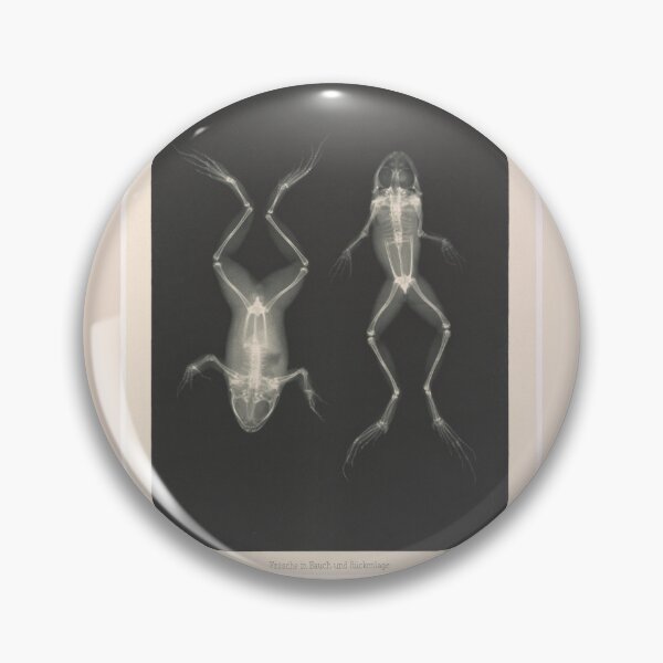 Item preview, Frogs Prone and Supine by Josef Maria Eder, Eduard Valenta designed and sold by Amanda1775.