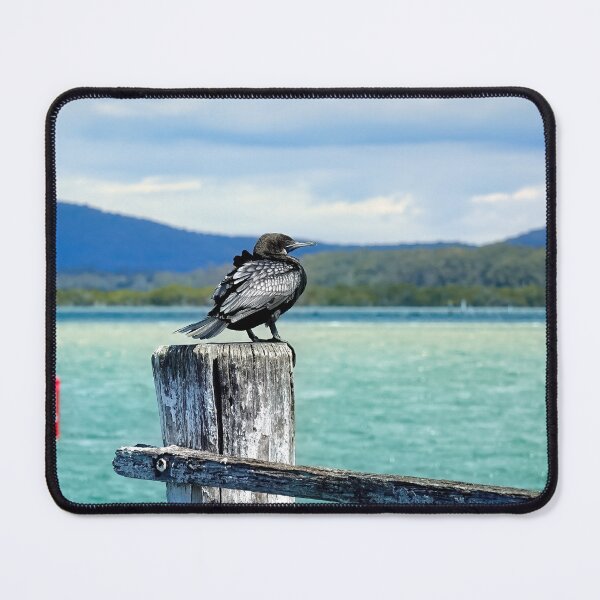 Item preview, Australian cormorant 6000 designed and sold by kevin Chippindall.