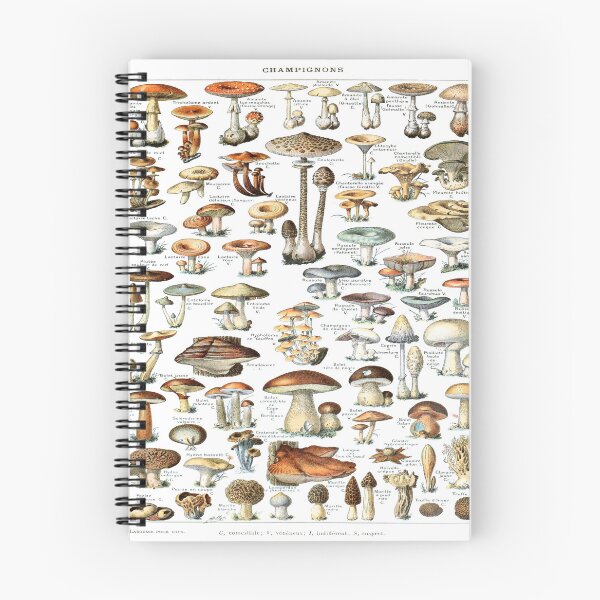 Item preview, Champignons by Adolphe Philippe Millot designed and sold by AstroAppa.