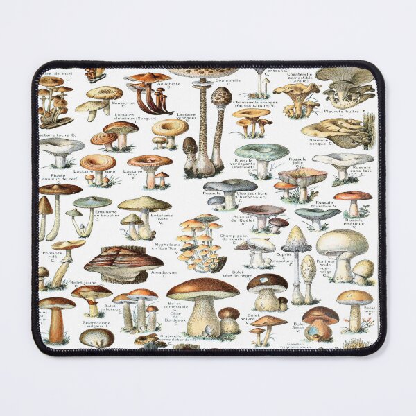 Item preview, Champignons by Adolphe Philippe Millot designed and sold by AstroAppa.