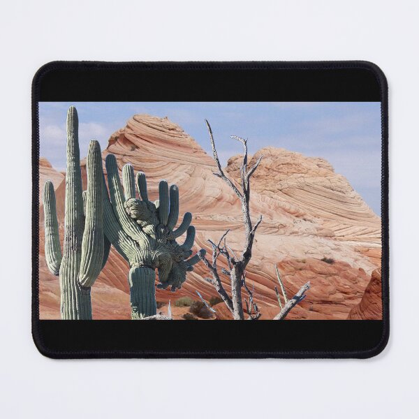 Item preview, Crestate and regular saguaro cacti superimposed on Coyote Buttes designed and sold by Creative Endeavors ..