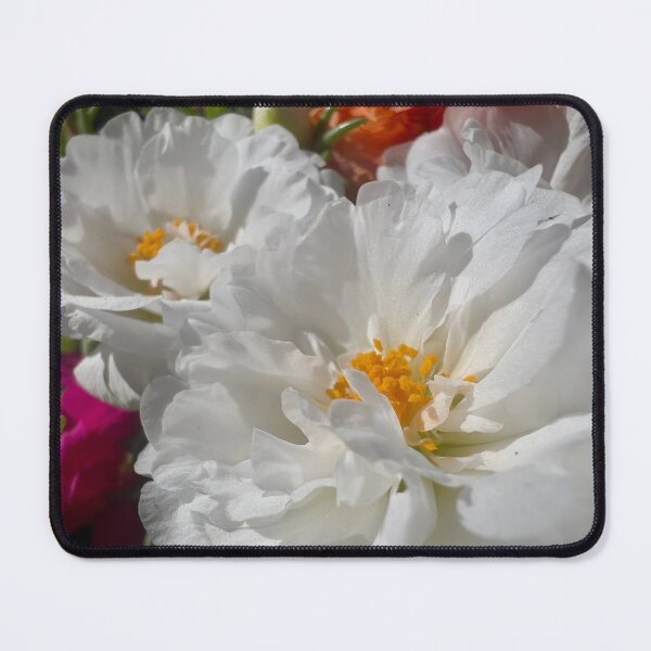 Item preview, Portulaca’s Delicate Petals designed and sold by Betsy Phillips.