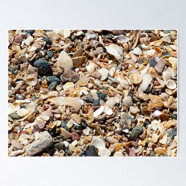Item preview, Shelley Beach designed and sold by GinaMarie-PV.