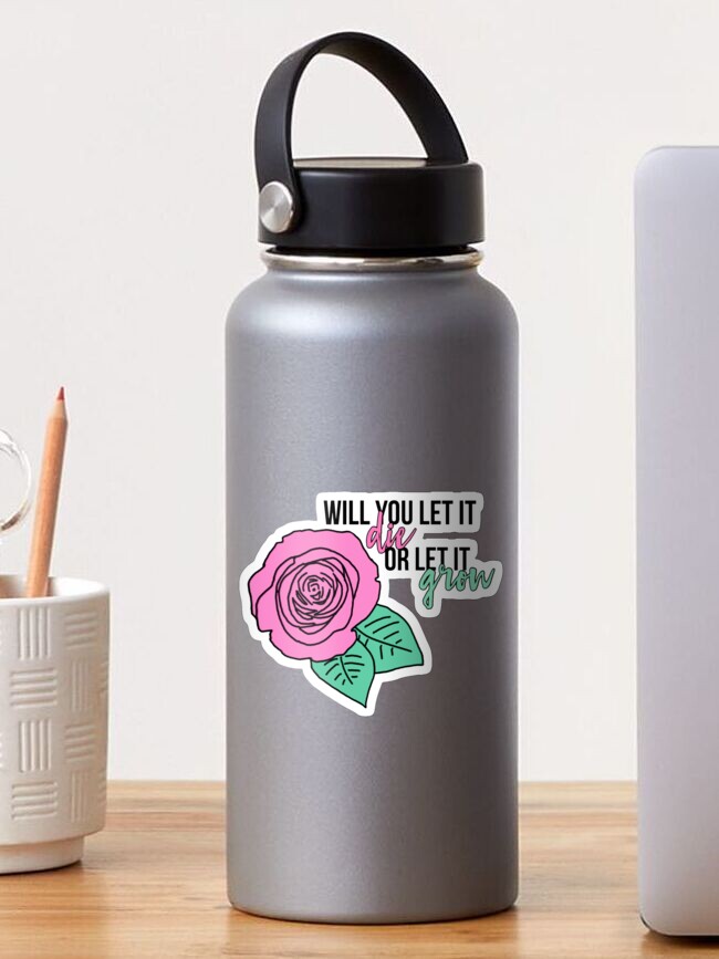 Shawn Mendes Roses Lyrics Sticker By Mandyismee Redbubble