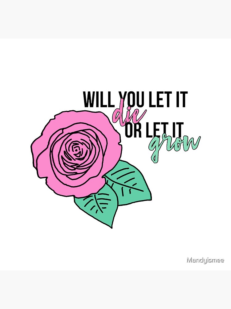 Shawn Mendes Roses Lyrics Tote Bag By Mandyismee Redbubble