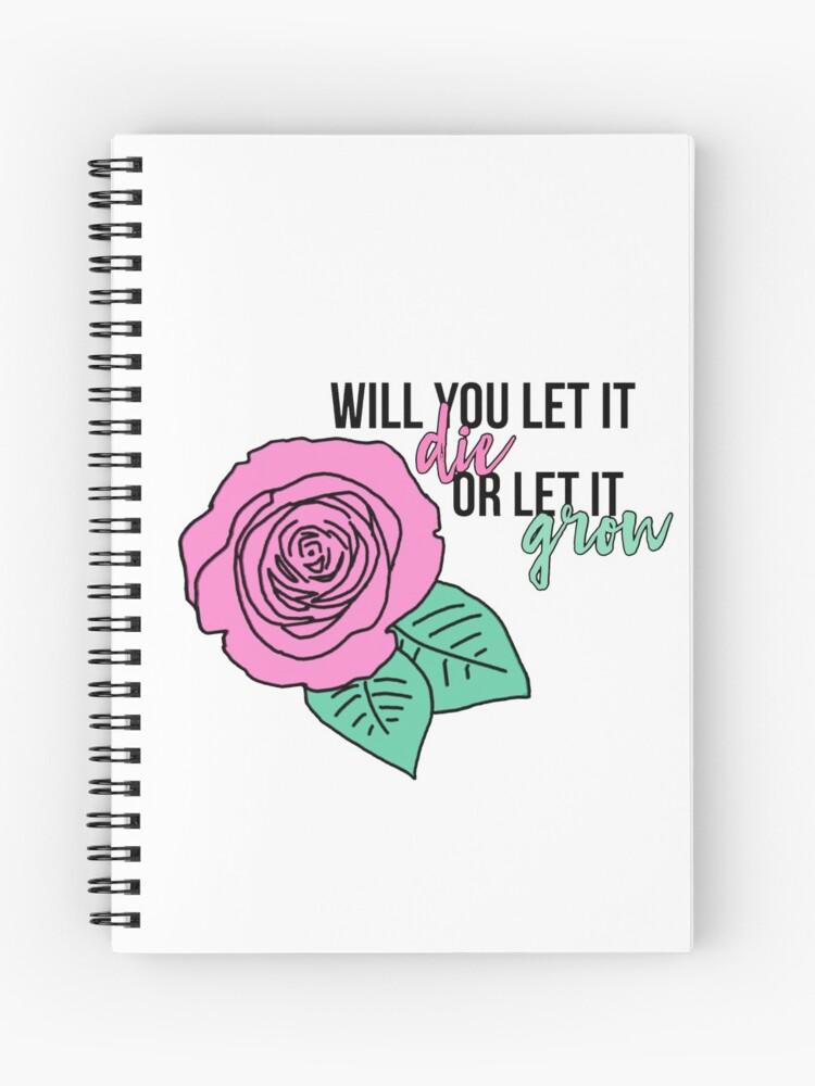 Shawn Mendes Roses Lyrics Spiral Notebook By Mandyismee Redbubble