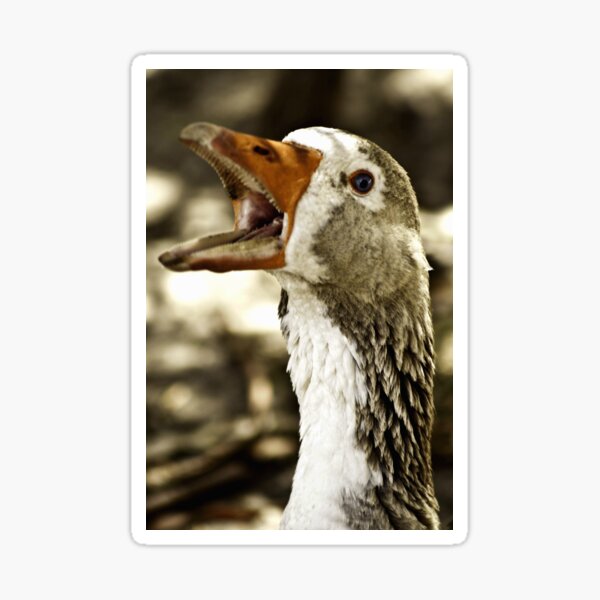 Great Honking Goose Named Greg Sticker
