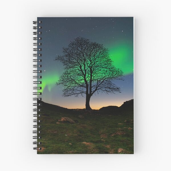 Item preview, Sycamore Gap Northern Lights designed and sold by Alisonchambers2.
