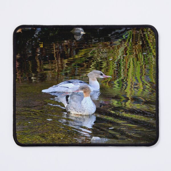 Item preview, Make it two. Goosander designed and sold by Jouko Lehto Photography.