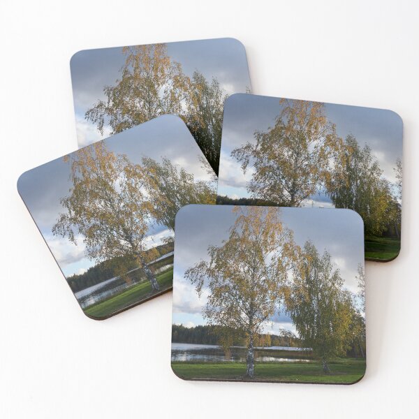 Item preview, Birch is getting yellow.. Parkkuu 2024 designed and sold by Jouko Lehto Photography.