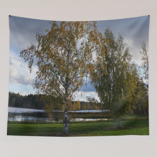 Item preview, Birch is getting yellow.. Parkkuu 2024 designed and sold by Jouko Lehto Photography.