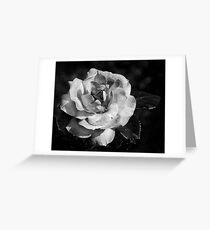 textured flower Greeting Card