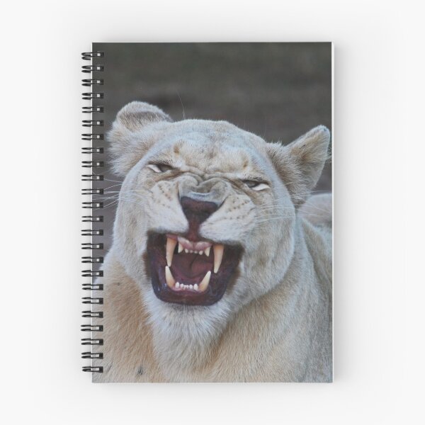 Item preview, angry white lioness  designed and sold by ChalfontArt.