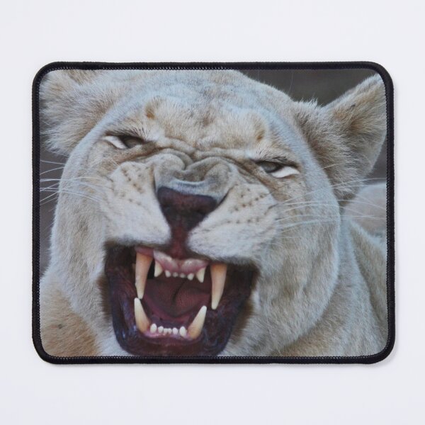 Item preview, angry white lioness  designed and sold by ChalfontArt.