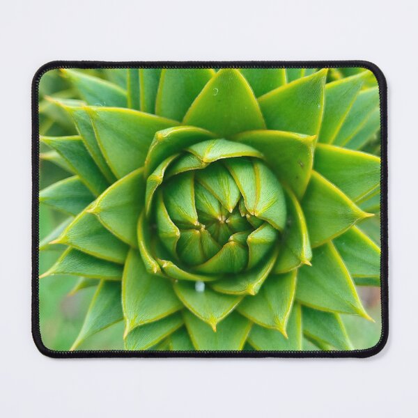 Item preview, Spiked leaves designed and sold by AurielLothrian.