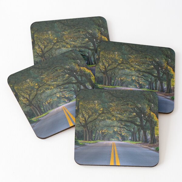 Item preview, 12th Avenue Tree Tunnel designed and sold by pensacolavibes.