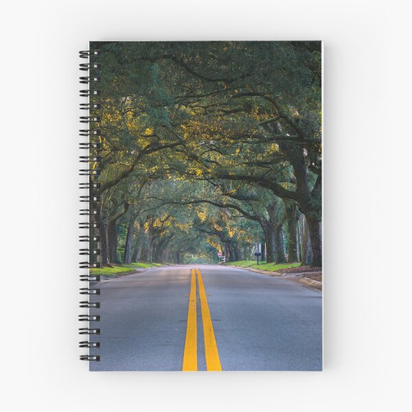 Item preview, 12th Avenue Tree Tunnel designed and sold by pensacolavibes.