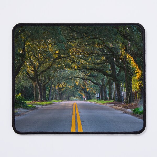 Item preview, 12th Avenue Tree Tunnel designed and sold by pensacolavibes.