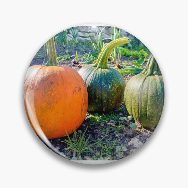 Item preview, Trio of Pumpkins designed and sold by AurielLothrian.