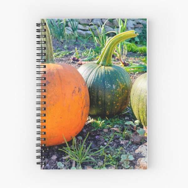 Item preview, Trio of Pumpkins designed and sold by AurielLothrian.