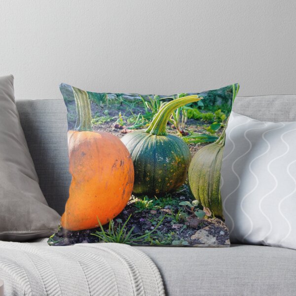 Item preview, Trio of Pumpkins designed and sold by AurielLothrian.