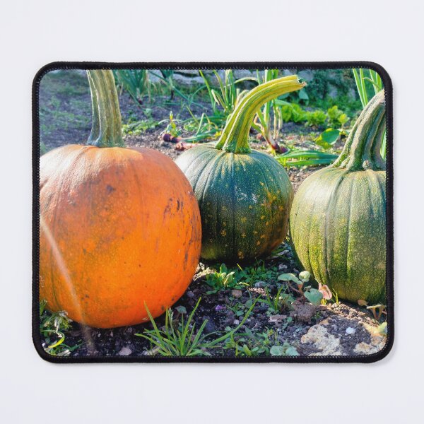 Item preview, Trio of Pumpkins designed and sold by AurielLothrian.