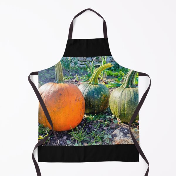 Item preview, Trio of Pumpkins designed and sold by AurielLothrian.