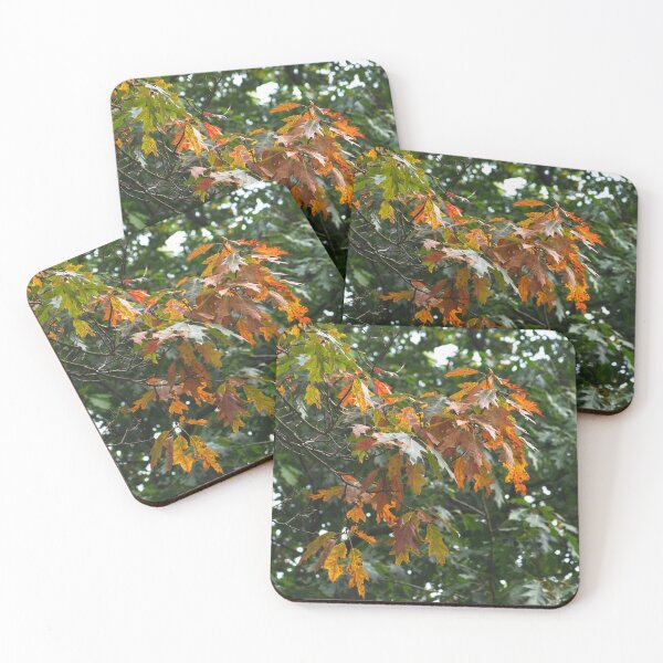 Item preview, Forest's Turning Leaves designed and sold by Cyncerely.