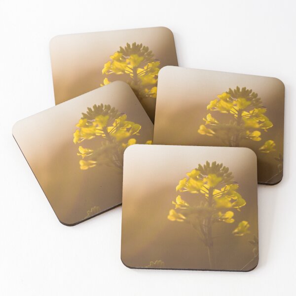 Item preview, Selective focus on blooming rapeseed field in spring and summer, Blooming canola flowers close-up designed and sold by Evgeniia Biriukova.